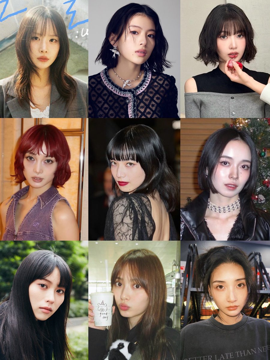 動くpdf tweet media