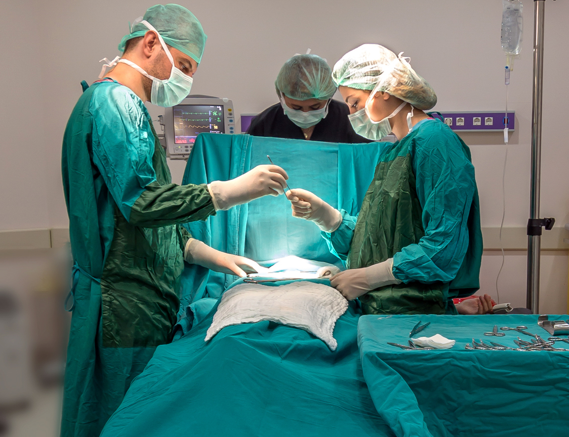 Kamu Hastanelerimizde 11 Milyona yakın muayene ve 150 Bin ameliyat gerçekleştirdik.
#SağlıklıŞehir #Sağlıkta2025 #SağlıklıTürkiyeYüzyılı <a href="/saglikbakanligi/">T.C. Sağlık Bakanlığı</a>