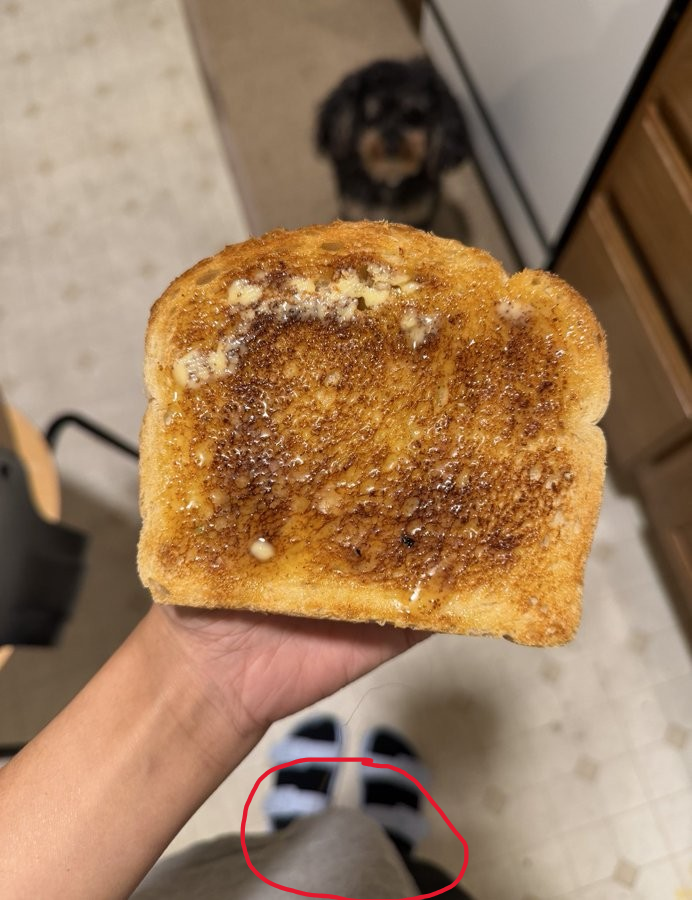 JS 🇺🇸 tweet media