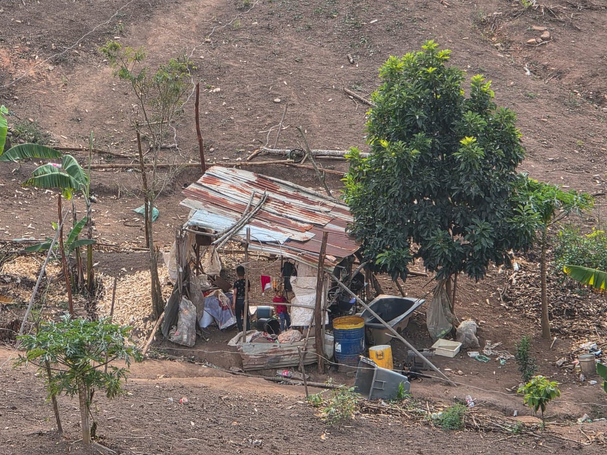 hernan30301's tweet image. ¡ NO a las invasiones en caricuao !