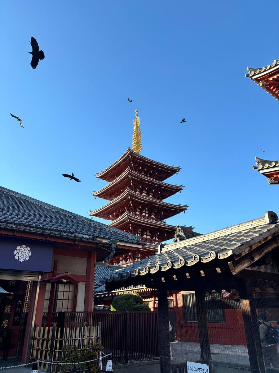 qaasty's tweet image. asia tomfoolery