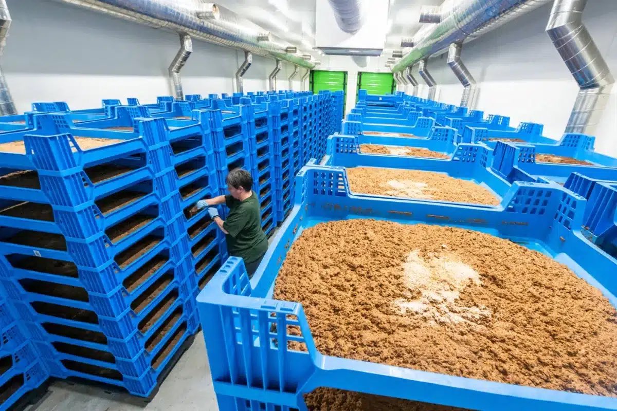 ʜᴇʀQʟᴇs tweet media