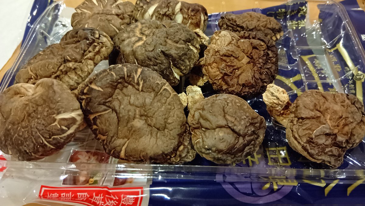 どんこ、水につけた。