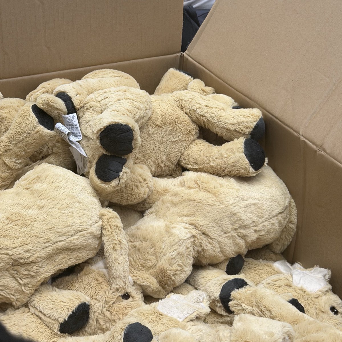 realskzoo's tweet photo. Seungmin el día de hoy para la pre-grabación de su presentación en colaboración con YB ✨️

Preparo un regalo especial para cada STAY que asistió, regalo un Daengmo (un perrito de peluche), por lo normal los regalos de agradecimiento por asistir se dan al final, pero esta vez lo dieron antes de empezar, ya que Seungmin quiere que STAY entren abrazándolos mientras ven el escenario y que sirvan como herramienta de apoyo/ánimo ❤️‍🩹🫂

“Tengan un cálido final de año con Daengmo”