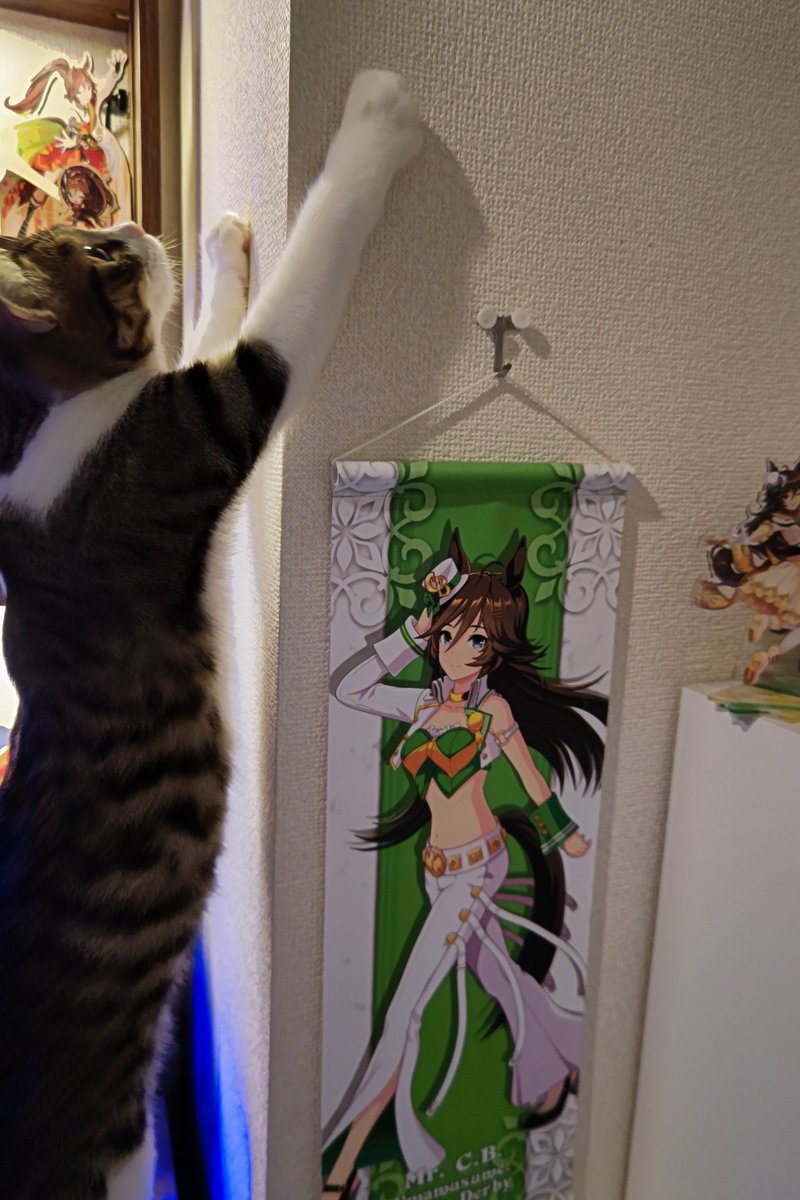 taromarunnn's tweet image. 帰宅！まいたけが初の長時間12時間お留守を頑張りました！今日まいたけにまでおやつの差し入れをいただいて本当にありがとうございます！愛されてますね〜