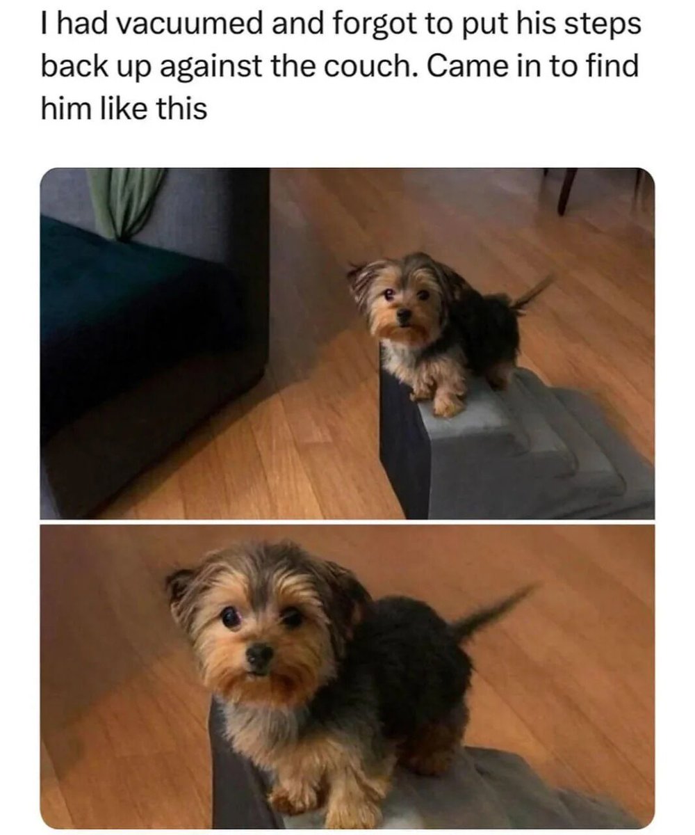 WholesomeMeme's tweet photo. https://t.co/7IaI056X6E