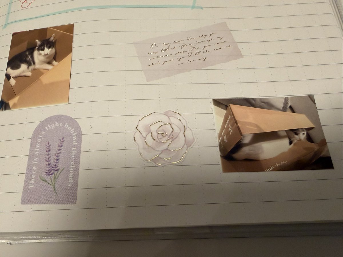 去年ゆーみんさんのこのツイートを見て勝手にまねさせていただいている