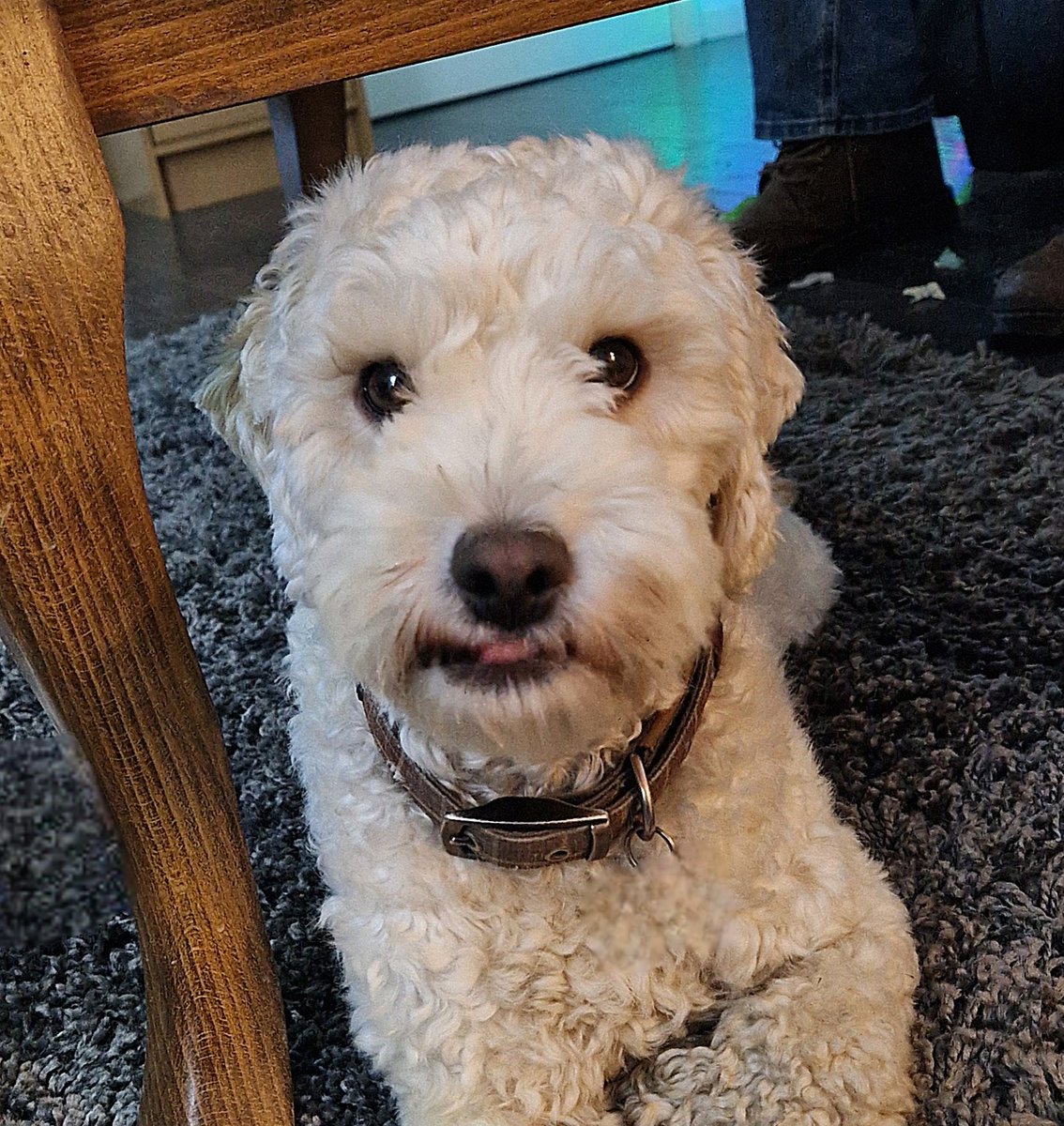 It's a teeny weeny Tongue out Tuesday as me last one of 2025 😁
#TongueOutTuesday