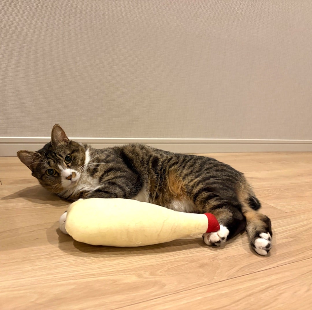 あやこ様 ご確認様 藤あや子】今年最後の身支度「問題はじゃこだね〜」 苦悩を告白