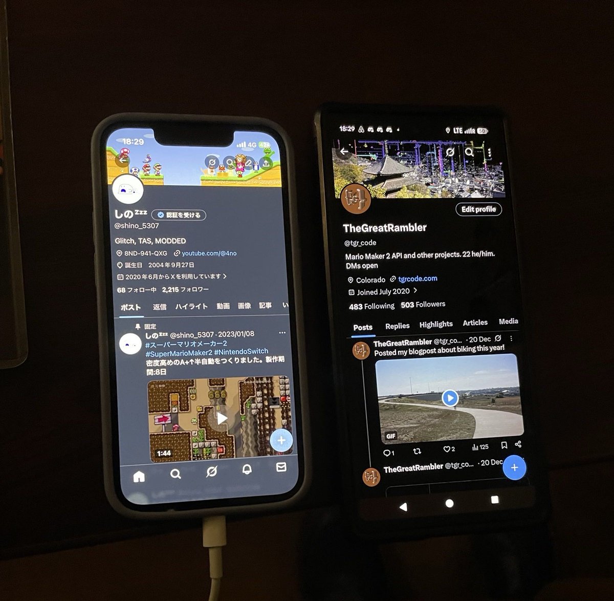 TheGreatRambler tweet media