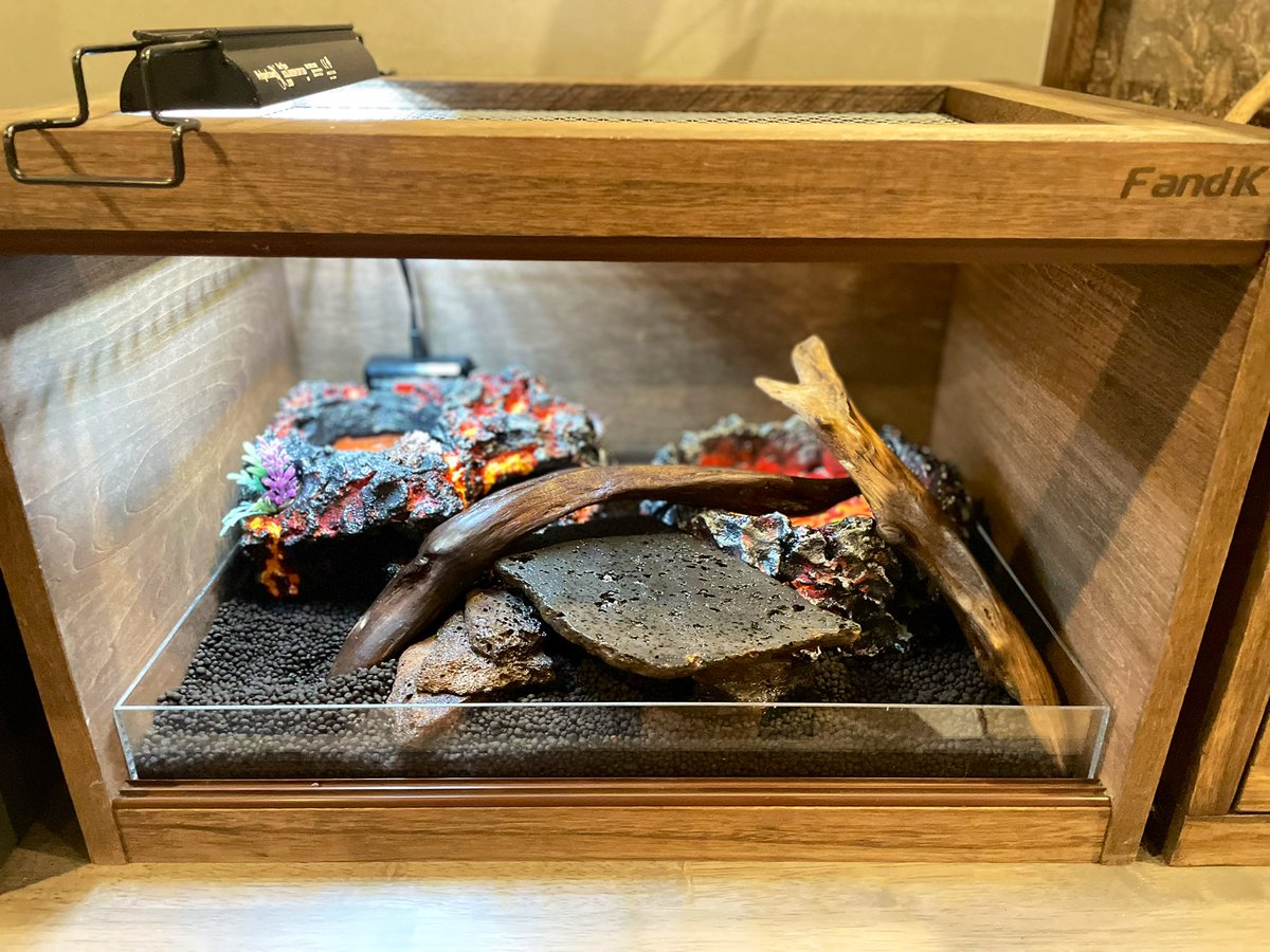 FandK 爬虫類木製ケージ (@mokusei_keiji_2) / Posts / X