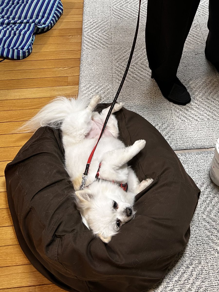 はんぺん🩵🐟🎂通販準備中 (@umbs19) / Posts / X