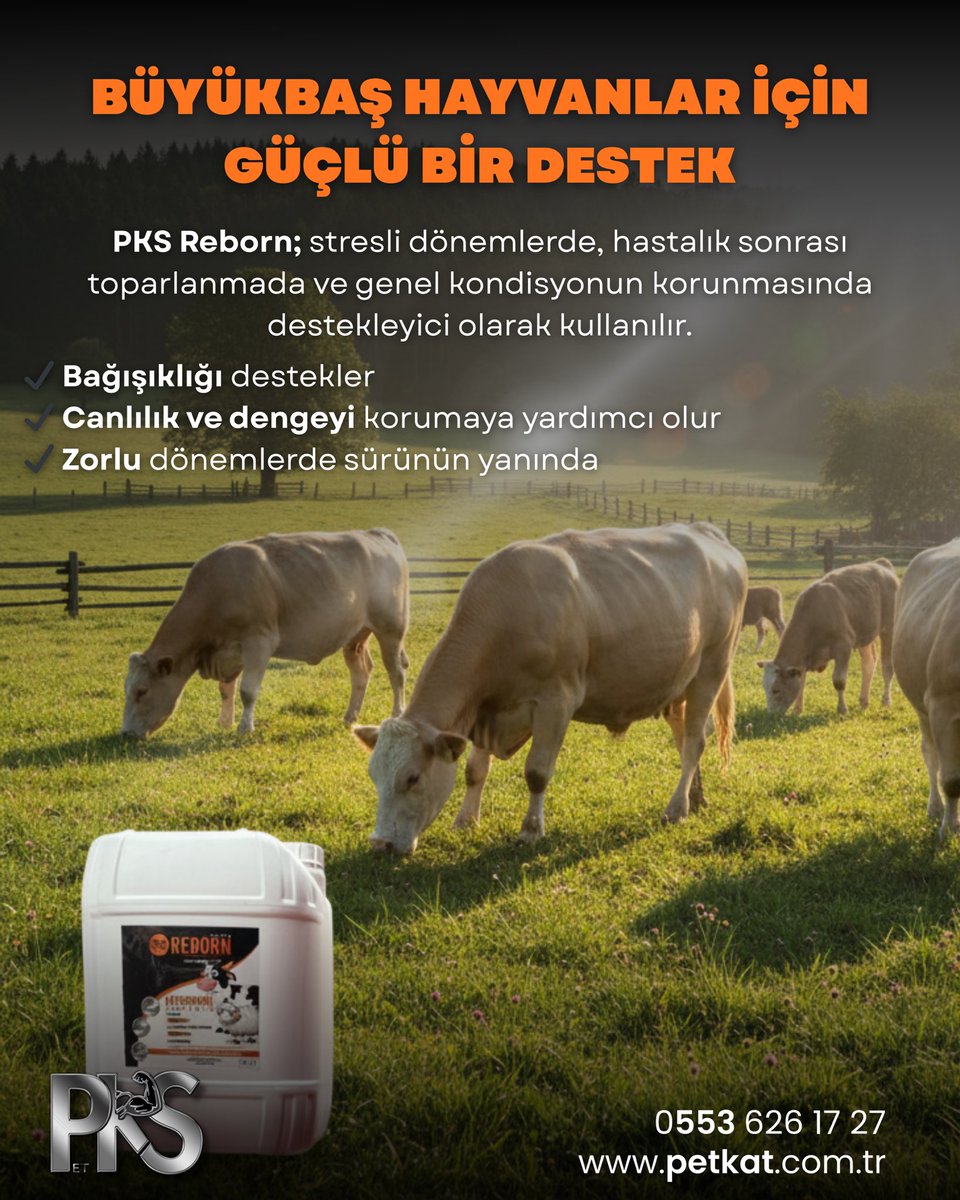 Günümüzde hayvancılık artık sadece yem vermekle sürdürülebilecek bir iş değildir.
Hastalık baskısı, stres, yem kalitesindeki dalgalanmalar, antibiyotik kullanımı ve çevresel şartlar hayvanların bağırsak florasını sürekli zayıflatmaktadır. Oysa verimin, bağışıklığın ve sağlıklı