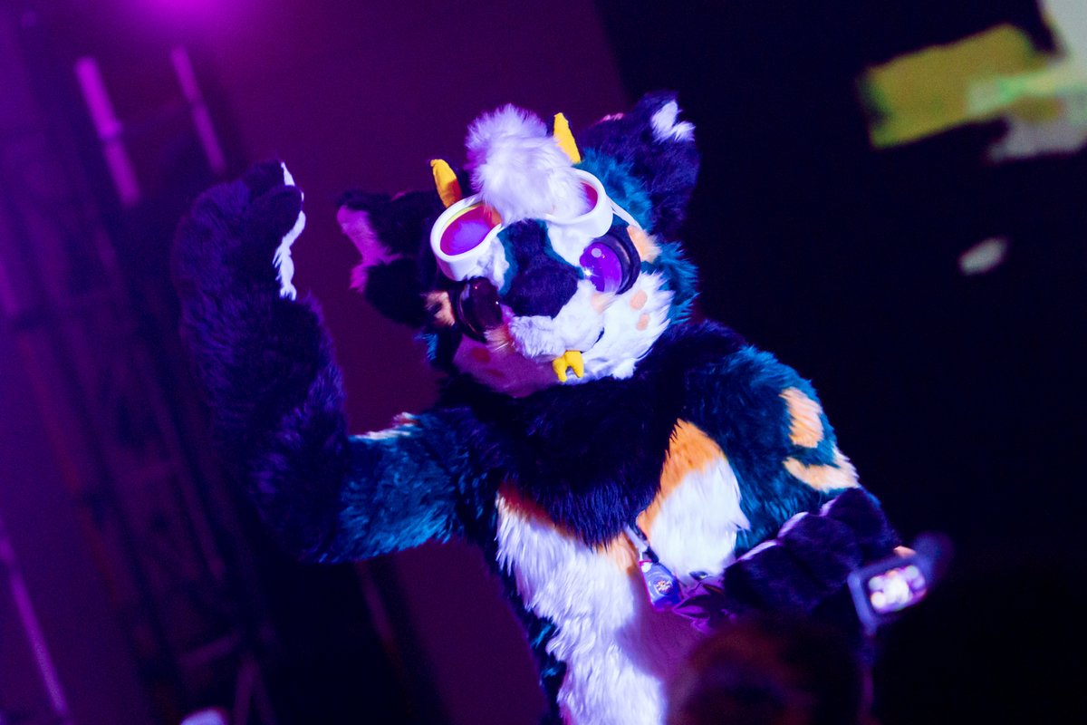 tillrass's tweet photo. ダンス企画では、司会の二匹が踊っていたのが本当可愛かった！
@Kombu_dragon @kmn_norisoba 

#Furum2025 https://t.co/1qZ3AfvXwa