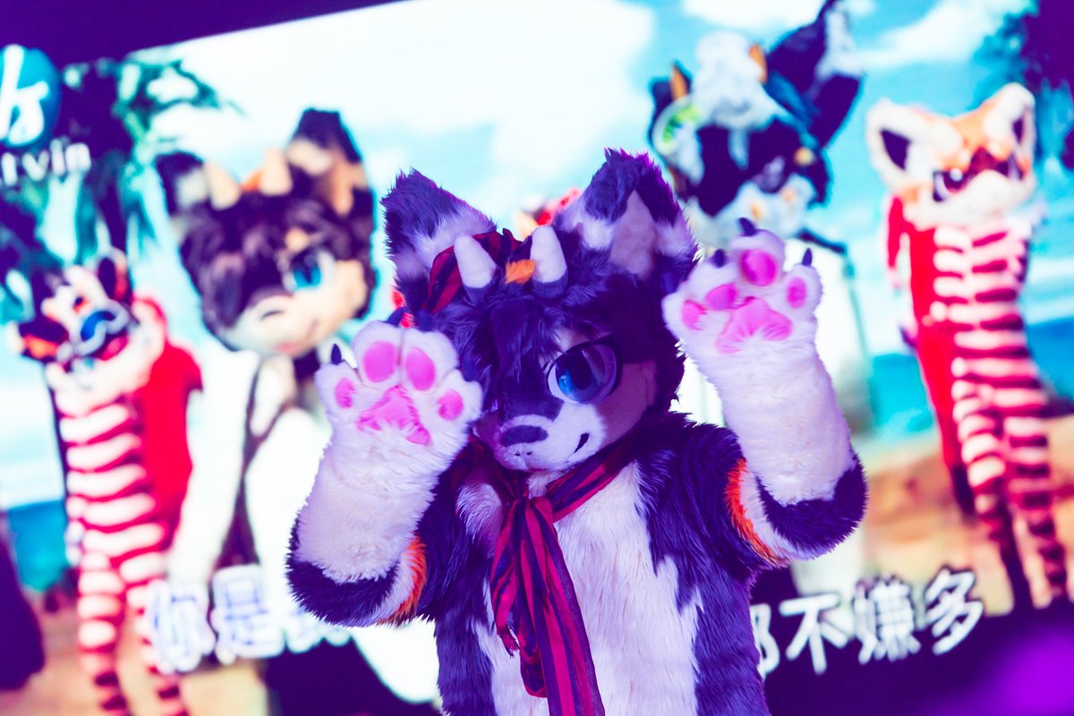 tillrass's tweet photo. ダンス企画では、司会の二匹が踊っていたのが本当可愛かった！
@Kombu_dragon @kmn_norisoba 

#Furum2025 https://t.co/1qZ3AfvXwa