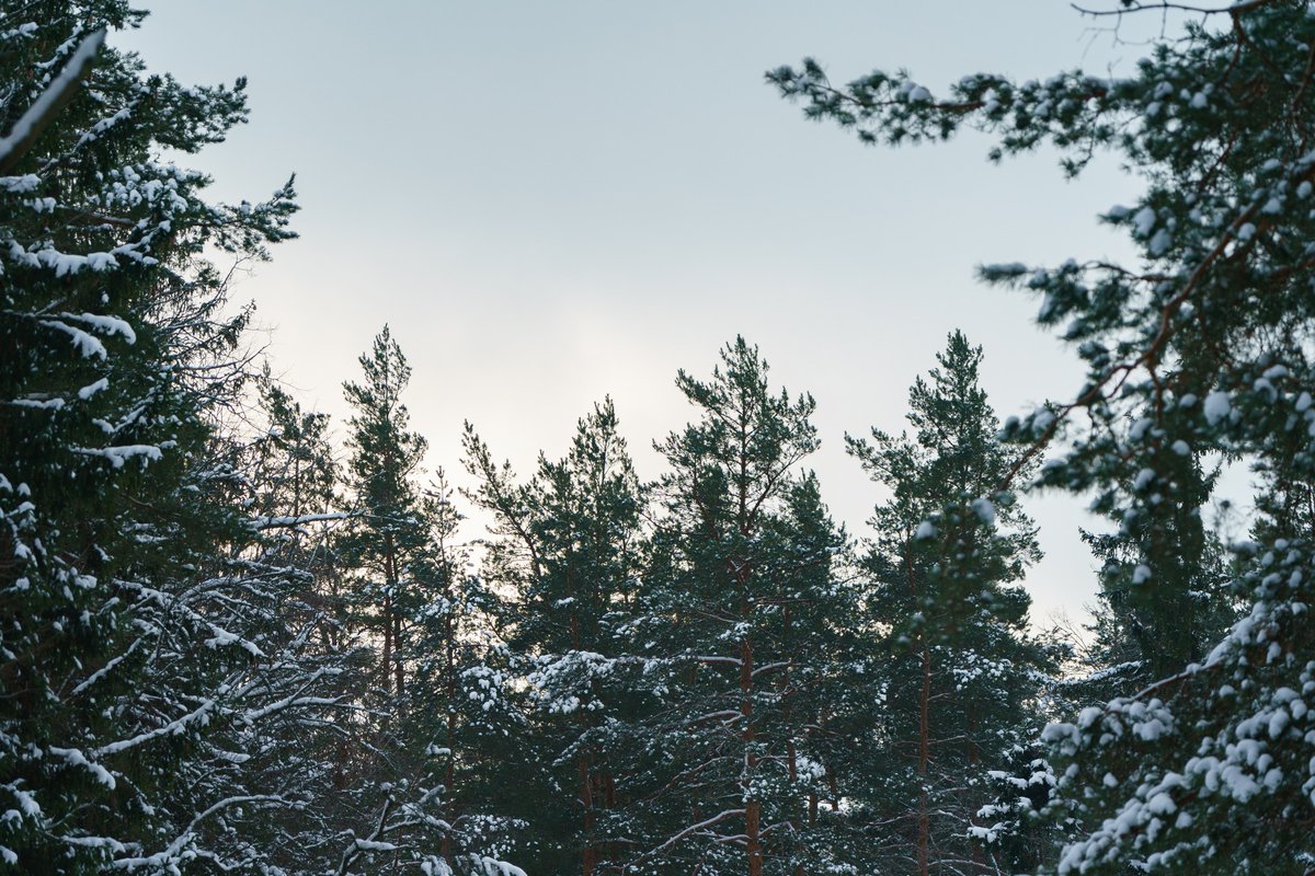 Sniegotā ziema ir klāt, un šis ir īstais brīdis baudīt ziemas priekus! ☺️❄️
📍 Daugavpils Olimpiskais centrs informē, ka Daugavpils Stropu aktīvās atpūtas un sporta trasē ir sagatavota kvalitatīva slēpošanas trase gan lieliem, gan maziem slēpotājiem❄️⛷️

#daugavpils #ziema