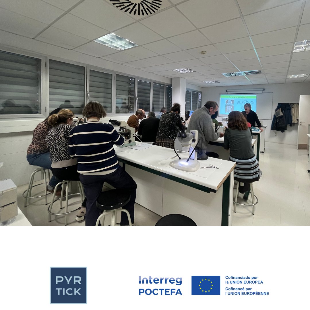 Pyrtick Poctefa tweet media