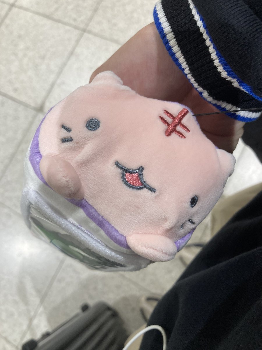 早速サンチョ使って帰ってきた