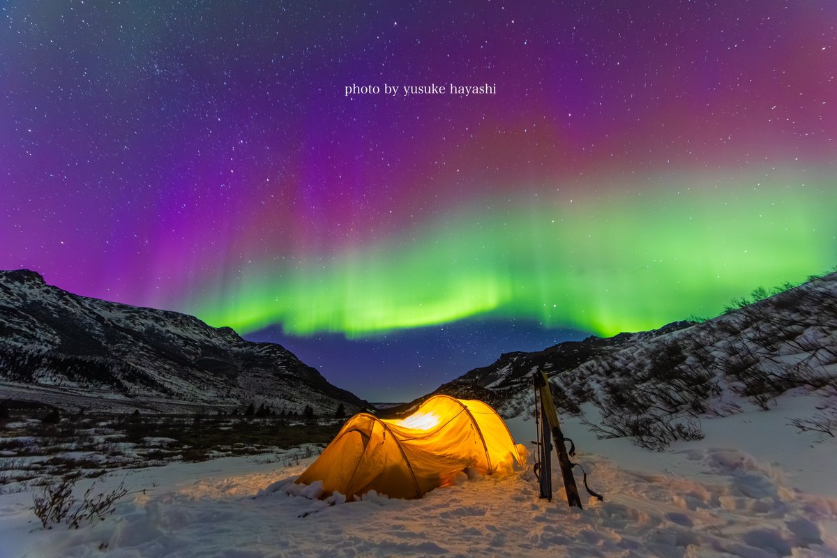 林祐介 自然写真家 / Youtube33000人 (@ratok_7) / Posts / X