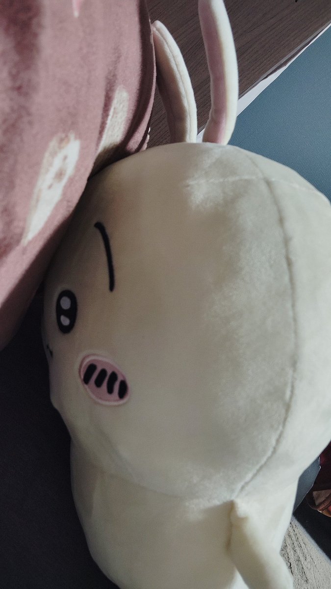 らーな❄️🫧 (@melonice91869) on Twitter photo 