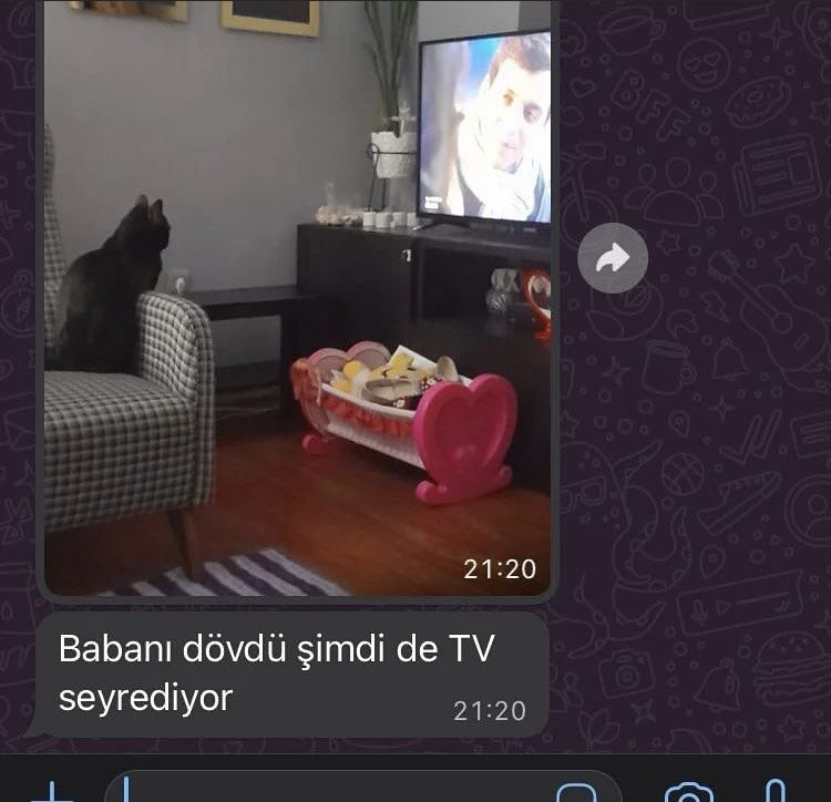 rena (@renaninbaltasi) on Twitter photo 