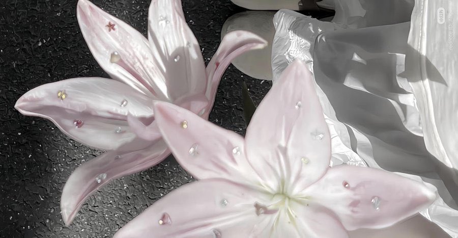 1leio's tweet image. 