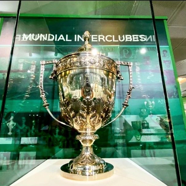 Portal do Palestra | Palmeiras tweet media