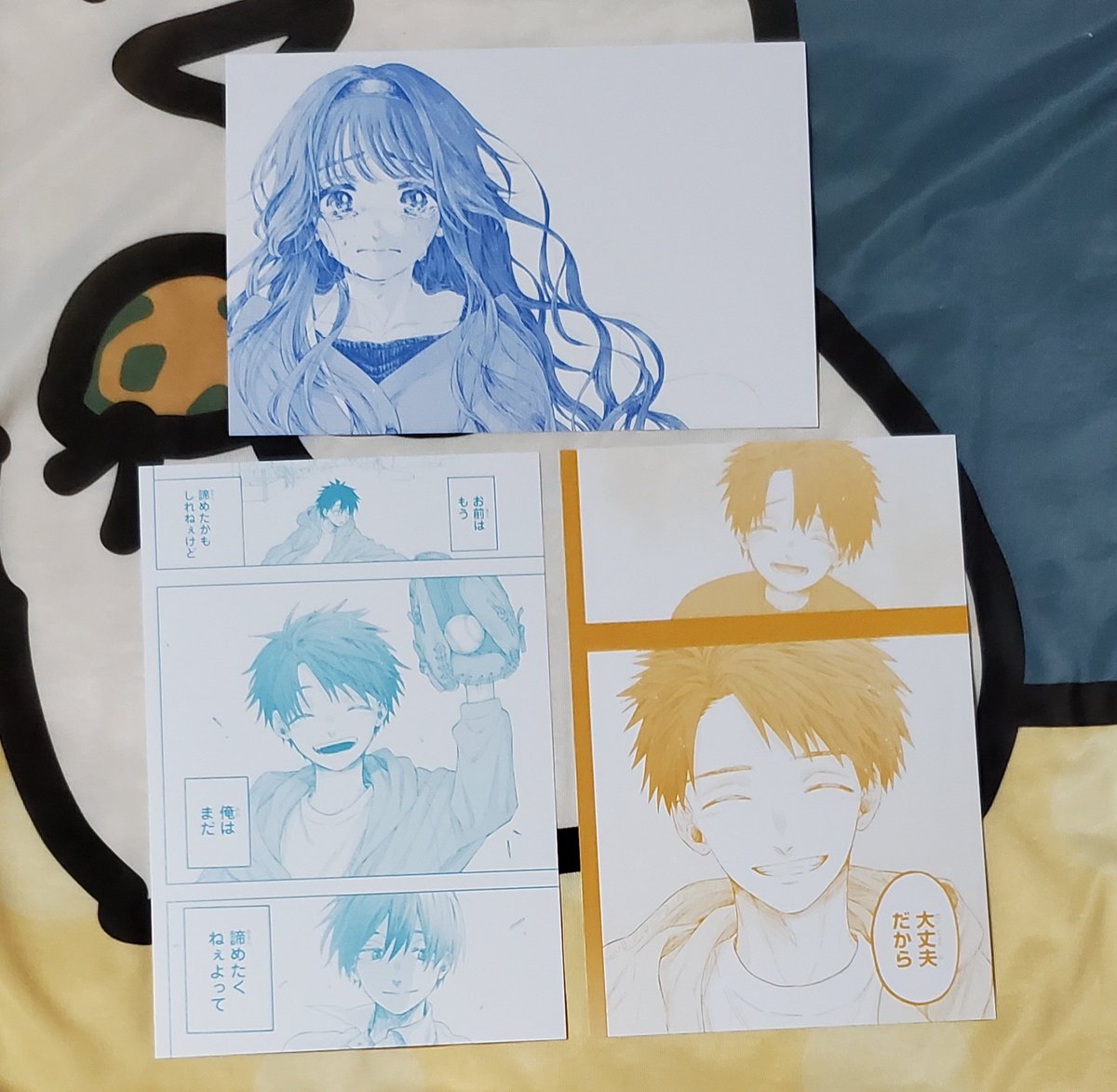 めがねこ tweet media