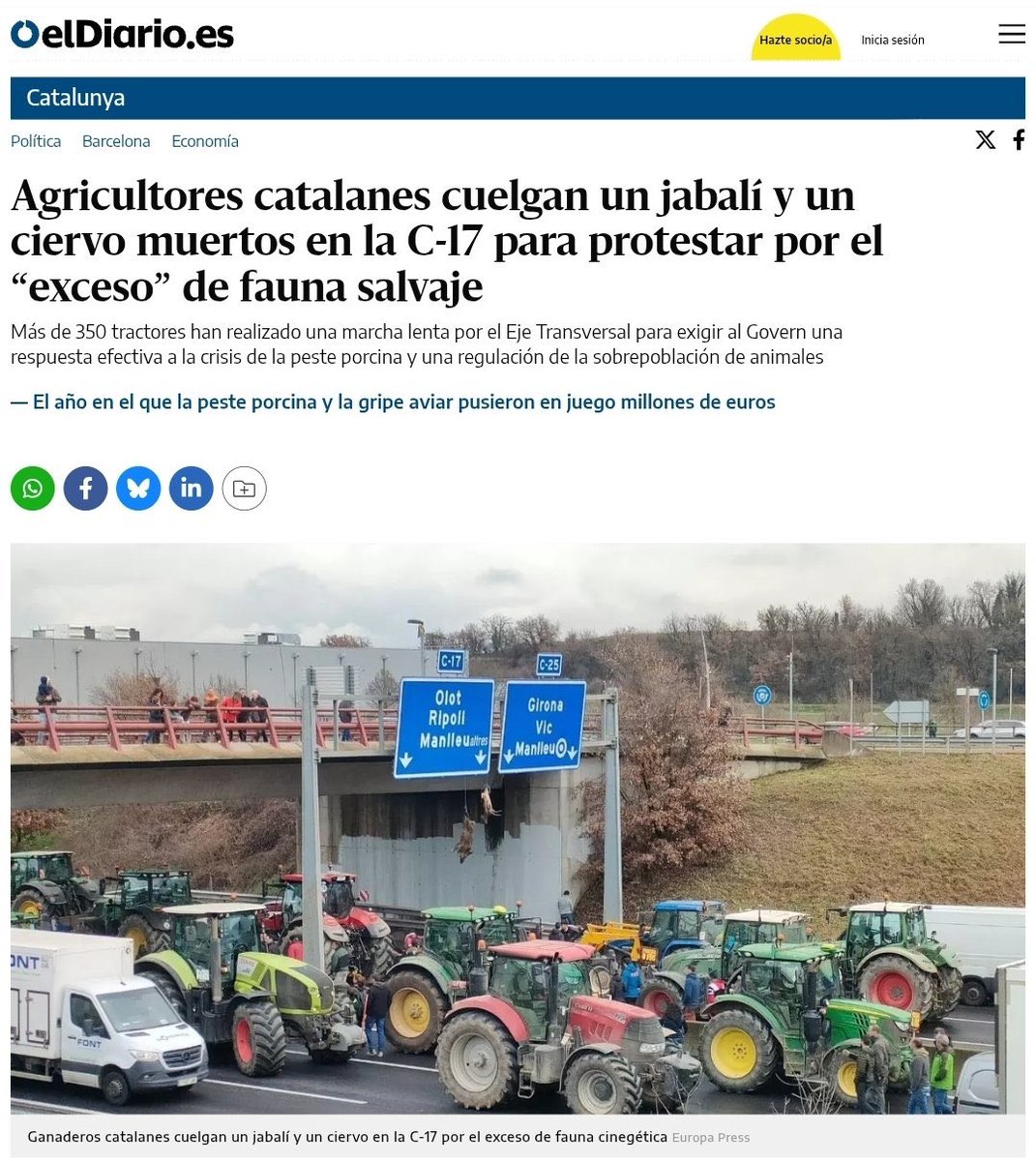 ErnestodMartin's tweet photo. Esto de colgar animales en puentes y señales -en Asturias lo de colgar lobos fue tendencia- es una de las mayores salvajadas que se pueden hacer, y simboliza el terror en el que nos quieren instalar. Vamos a toda hostia a un barranco profundo. https://t.co/vPz6hpvp5t
