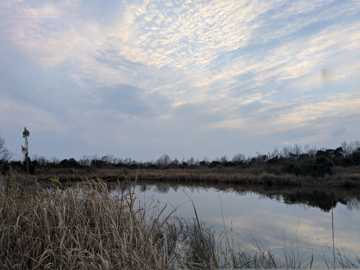 ねむる雲ページ 雲がパックリ開きそうもなかったので、夕日を諦めて帰りました🚙 日が