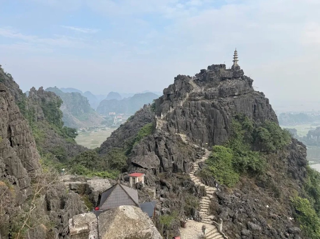 Catherine Murphy tweet media