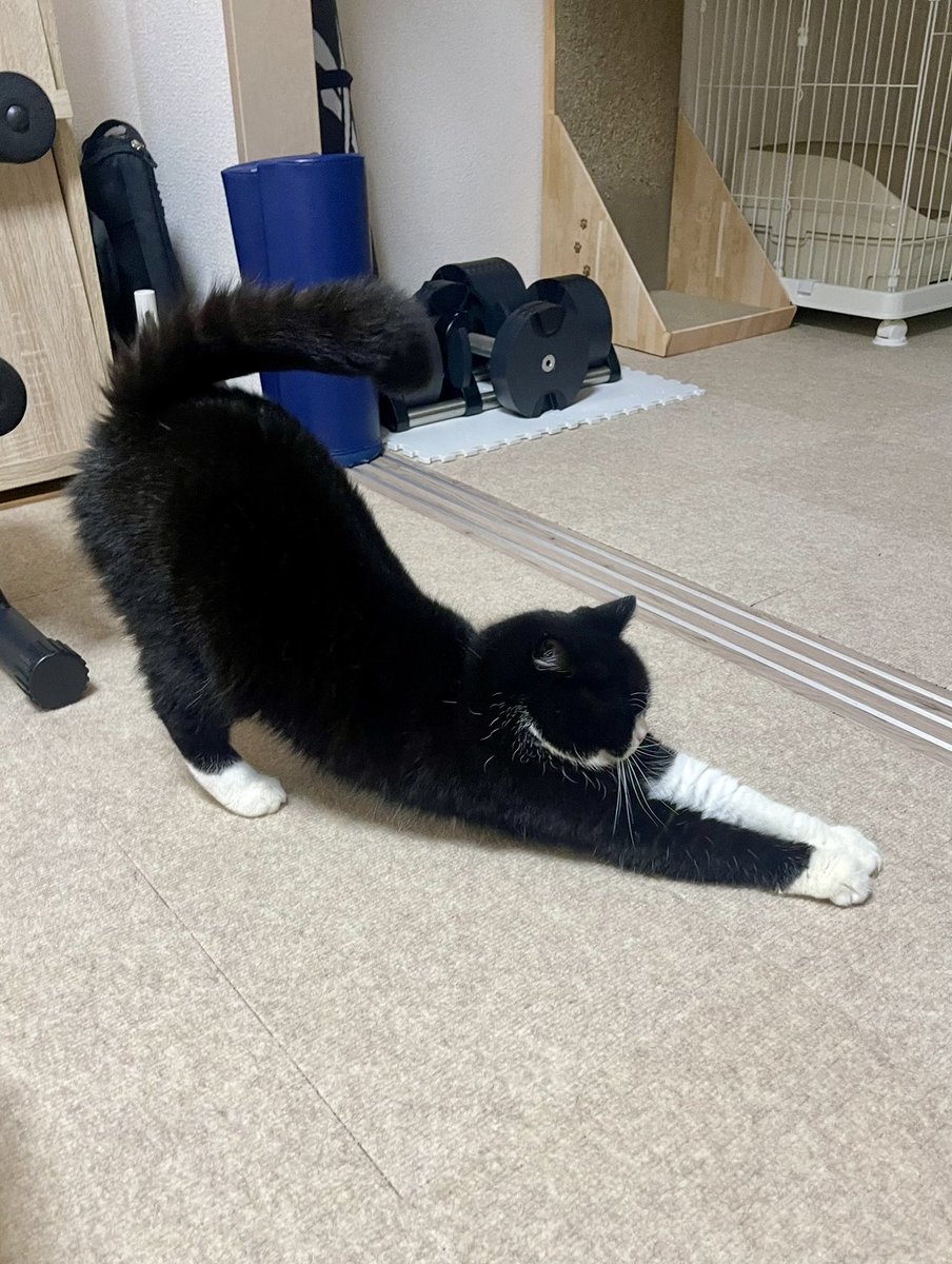 たろうさん専用 3/8DR インサートスナップラチェットレンチ セット (18点組) / 工具