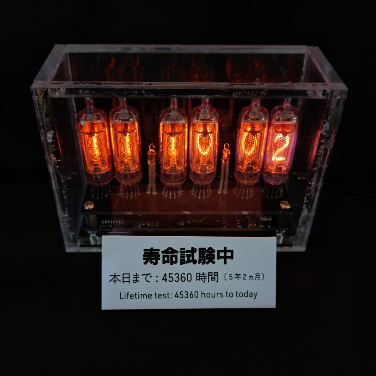 #今年も残りわずかなので今年一番伸びた写真を貼る
12月30日現在、48,970時間を超えて元気に点灯し続けています。