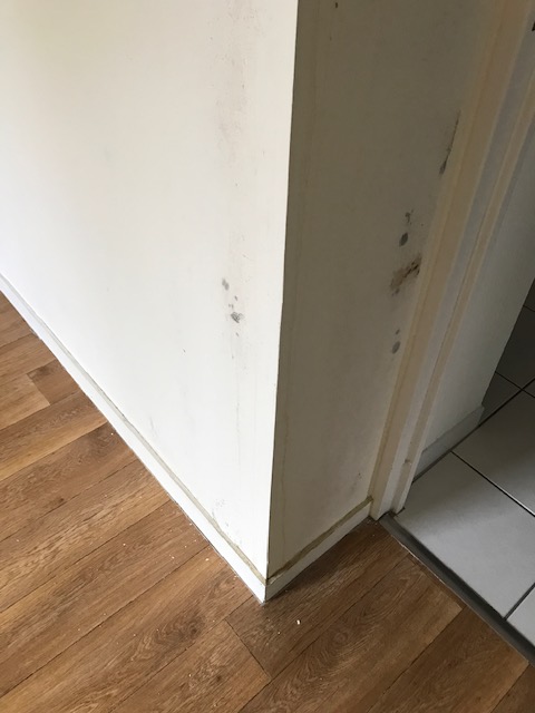 plombier_bou's tweet photo. Une fuite persistante présente depuis plusieurs mois, causant d'importants dégâts chez le voisin : plafonds de deux chambres et d'un couloir fortement endommagés.  

https://t.co/5uES7UzQld https://t.co/0198sqk0ke
