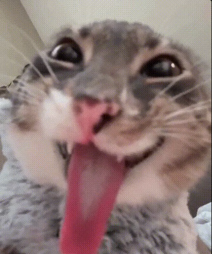 i literary cant tell the difference between those two images #Phasmophobia