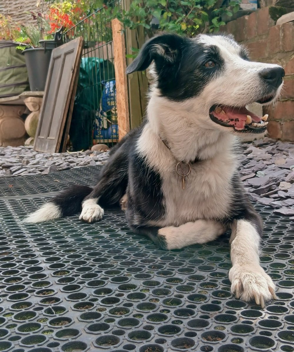 Patrick Turk tweet media