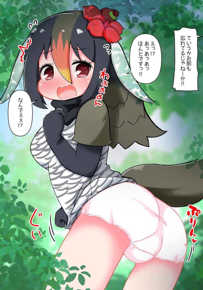 リウキウちほーの日常🐍🦃 