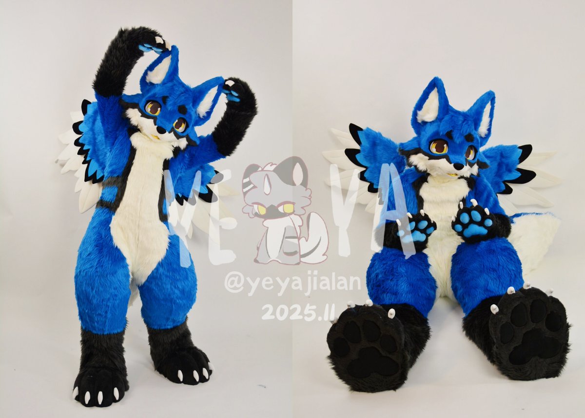 yeyajialan's tweet photo. A very cute little wolf, it has a pair of wings.🐦
owner：@HeavnWolf https://t.co/JkpuJPnlDF