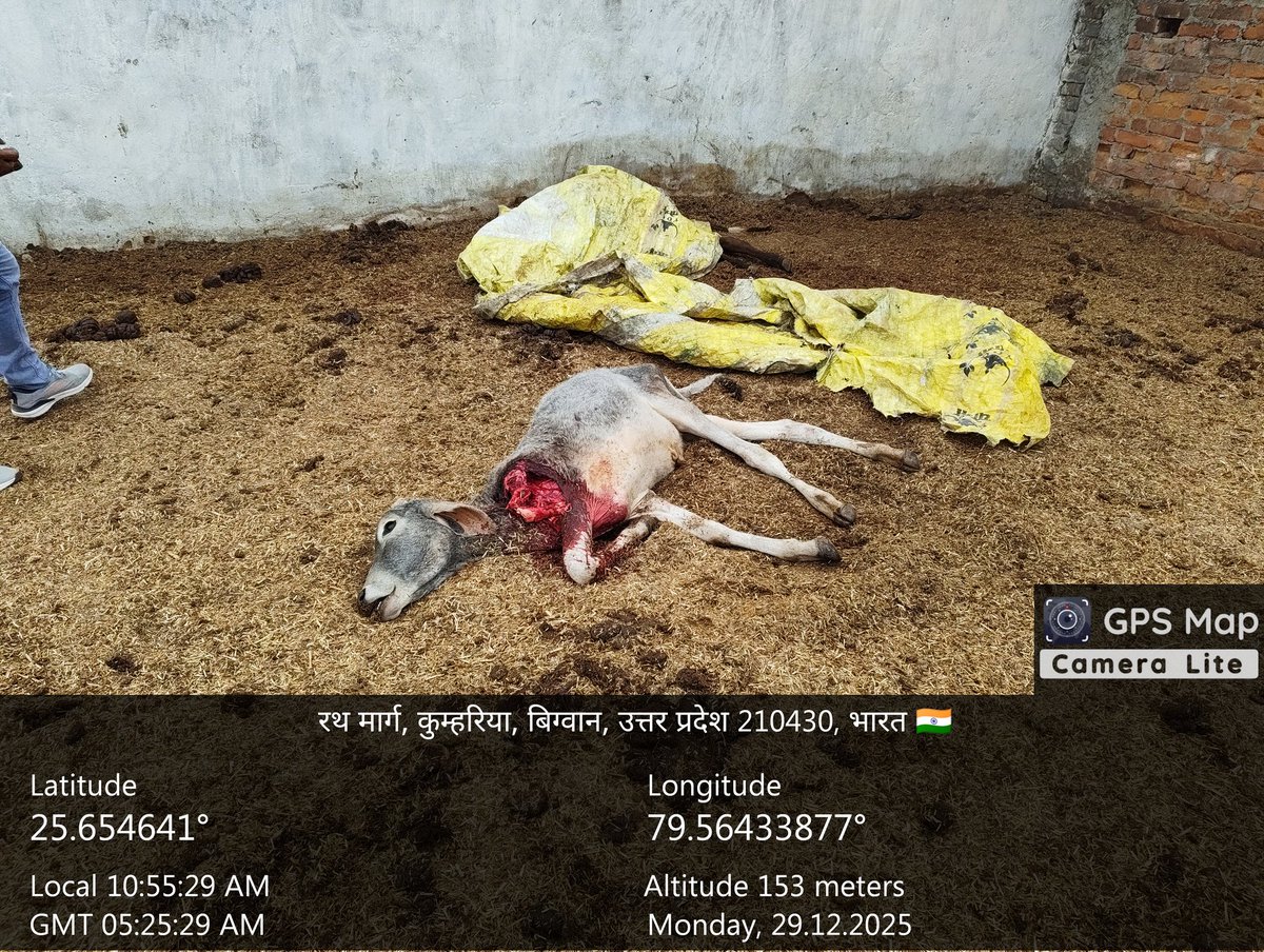 deepaks24738720's tweet photo. खबर का हुआ असर 
ग्राम विकास अधिकारी दीपक कुमार हुए निलंबित 
ग्राम मसगवा में गौवंश आश्रय स्थल का समुचित प्रबंधन न करने व मृत 2 गौवंश के शवों का निस्तारण समय से न करने पर हुए निलंबित
@dmhamirpurup
@myogiadityanath @Uppolice @SPHAMIRPUR https://t.co/q9qaeCR1UW