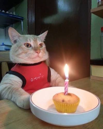 JuicerQt tweet media