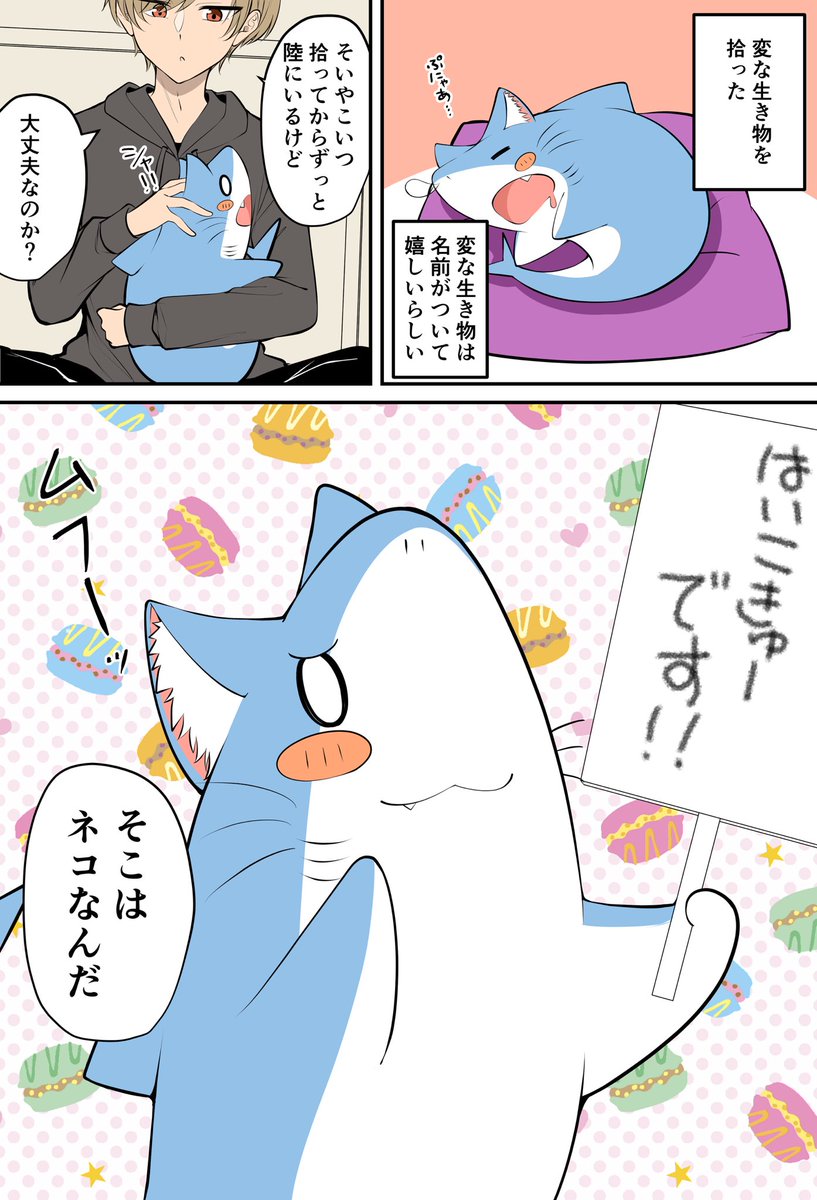 かわいいwwwwwwwww