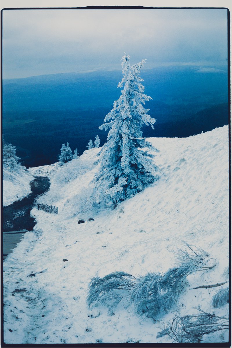 ni_leconte's tweet photo. A piece from 2025, on film https://t.co/Mg9eRQ6Hl8