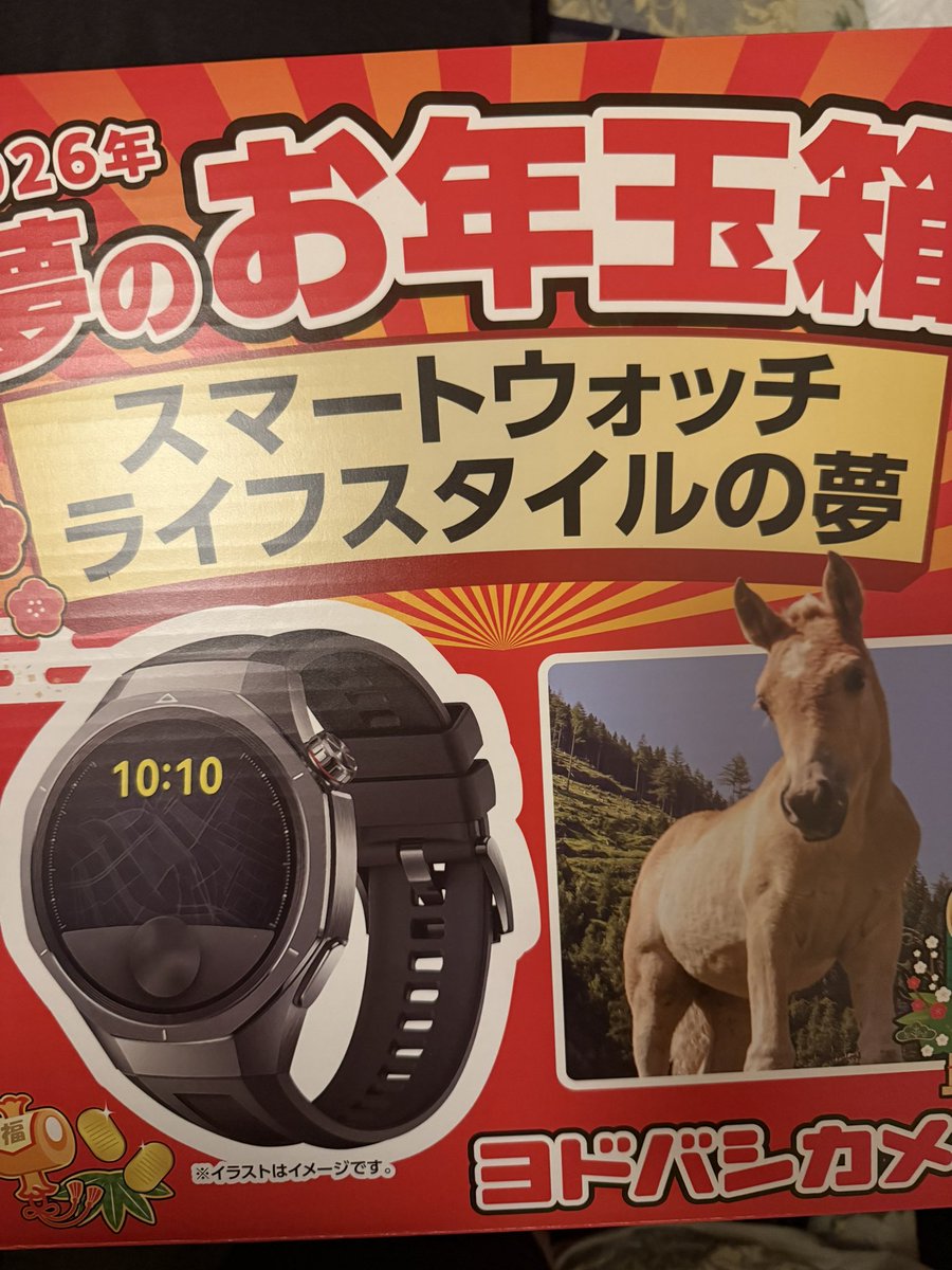 ヨドバシカメラの福袋が到着しました🥳🥳 箱がすっごく大きいので