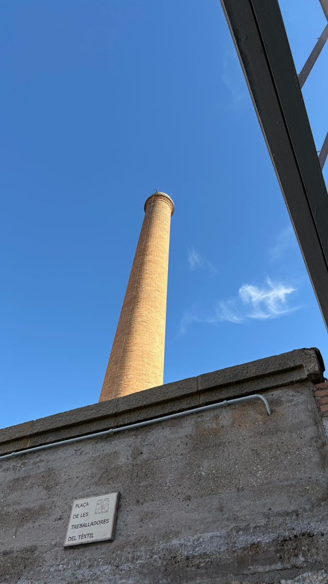 Ajuntament de Moià tweet media