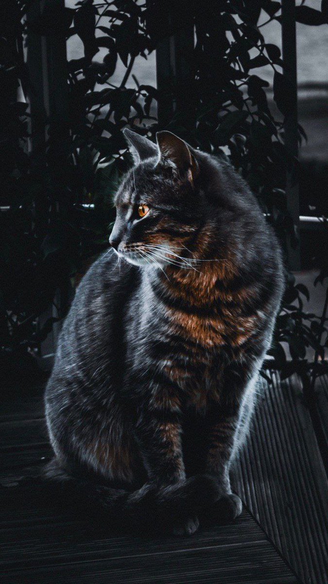  𝓦𝓔𝓓 tweet media