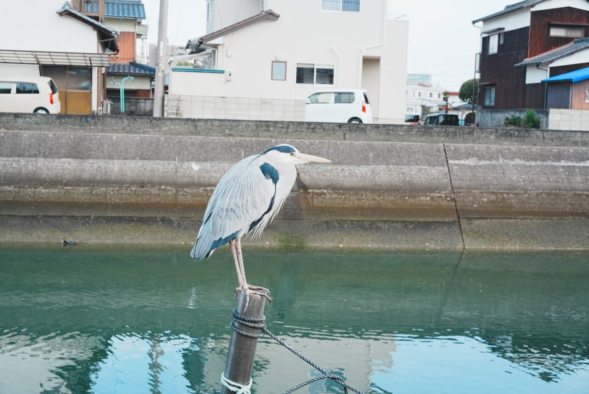 phyrexianMoon's tweet photo. 西条市喜多浜の風景。 https://t.co/Cs602HMddJ