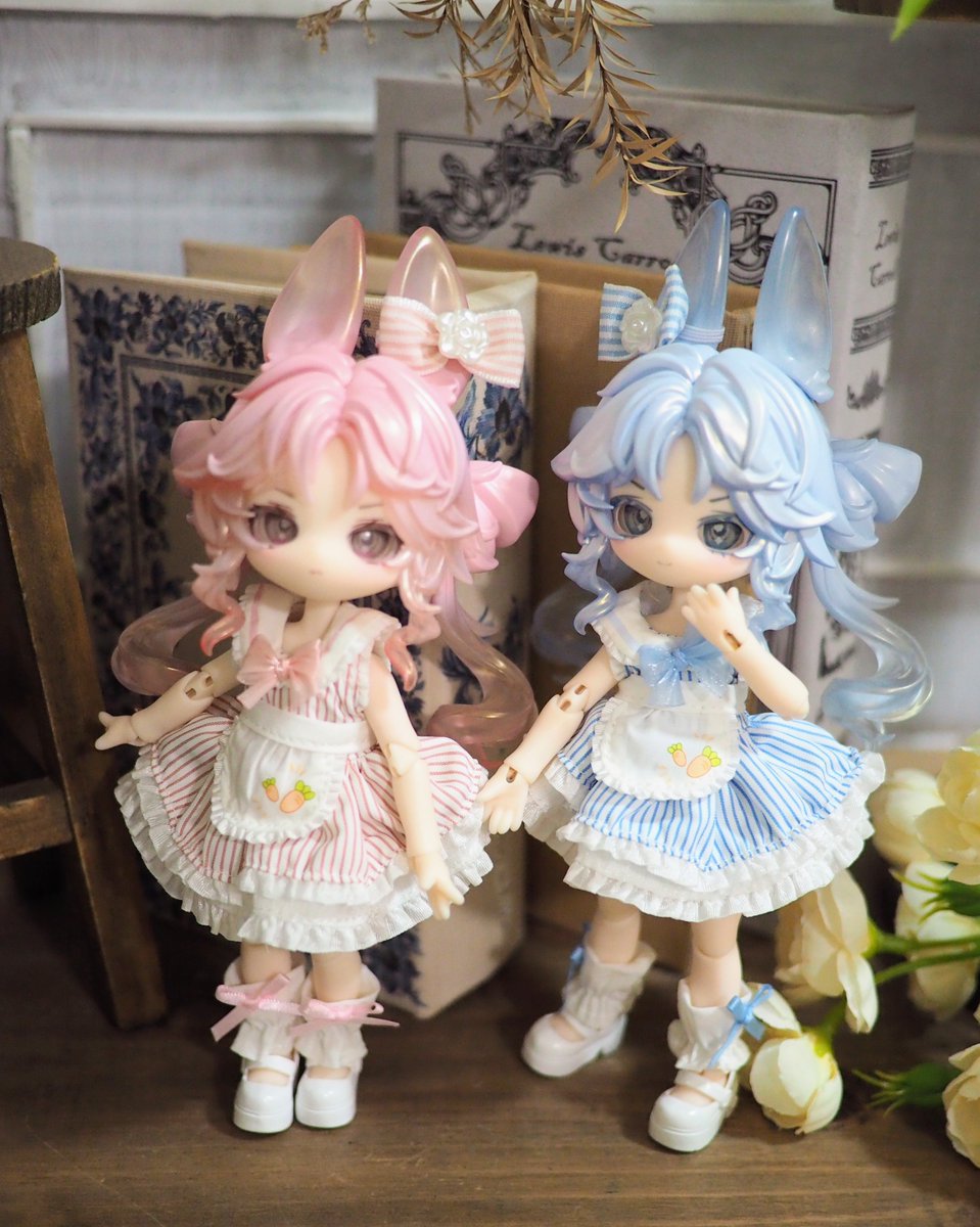 共同購入させて頂いた桃伊と雪伊が届きました。あ〜かわいい、かわいいよ〜💕
桃ちゃんと雪ちゃんですね！
明日また4人で写真撮ろうね📸🐇

共同購入ありがとうございました。私、お金払うだけでよかったんでしょうか…？
#月飛び時間