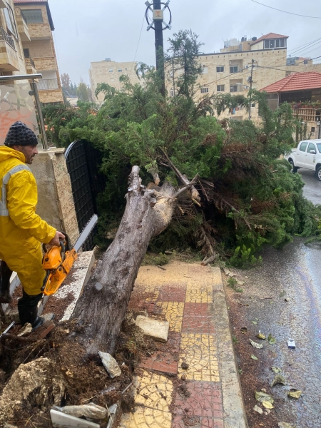 أمانة عمان: 4600 من كوادرنا تعاملت مع 235 ملاحظة خلال المنخفض 