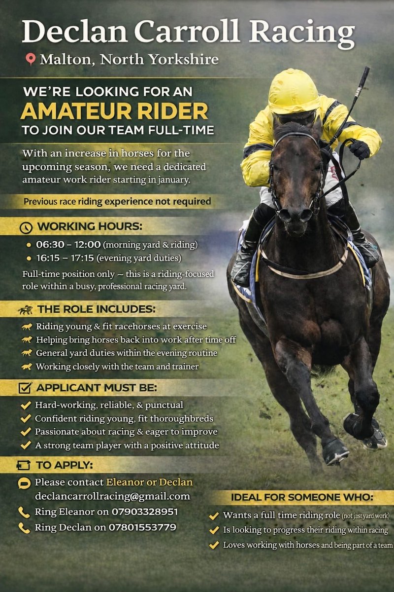 Declan Carroll tweet media