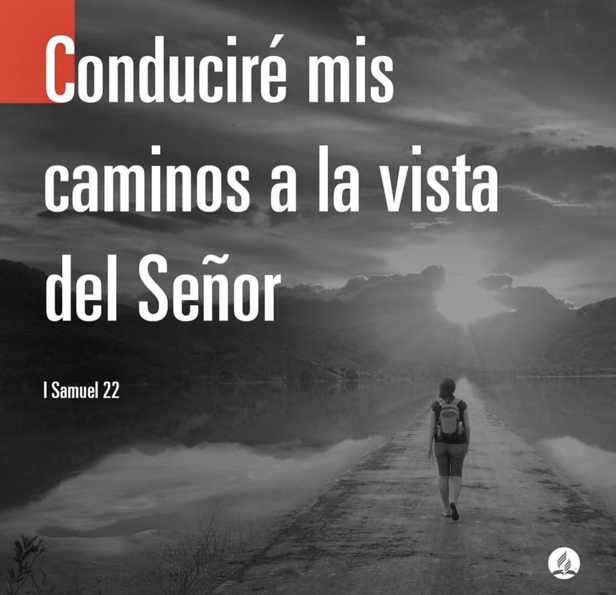 brunoraso's tweet photo. 🔶 “David, huyó a la cueva de Adulám"
🔶 ¿Dónde estás escondido? ¿Hasta cuándo?
🔶Mejor es refugiarse y caminar con Jesús #1Samuel22 #rpSp
👉 https://t.co/eLcO6TpZkU https://t.co/netownOMPV